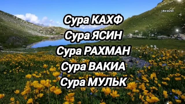 ❤️Сура Кахф, Сура Ясин, Сура Рахман, Сура Вакиа, Сура Мульк