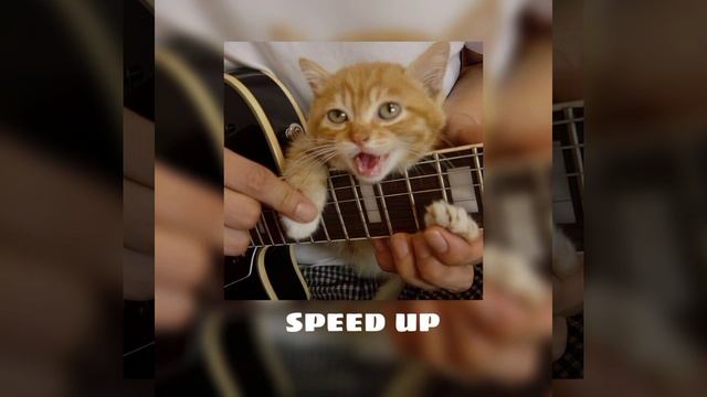 Lil Freezer-тепловизор (speed up) смотреть онлайн