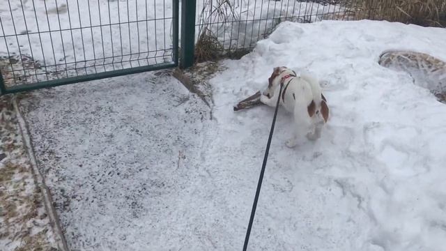 Весенние каникулы в загородном доме (Семиозерье, Ленинградская область) / часть 1 смотреть онлайн
