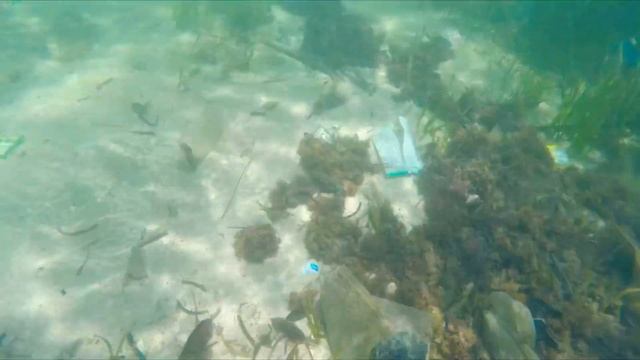Море мусора на краю земли смотреть онлайн