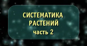 Систематика растений. Часть 2. Отдел голосеменные. Биология