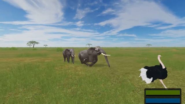 Roblox - Wild Savannah Update New Wild Africa смотреть онлайн