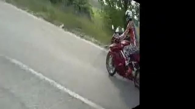 VFR 800 Wheelie