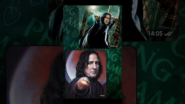 Хогвартс чек #пёсик (первое фото от Зенненхунда, а второе от Ретривера) смотреть онлайн