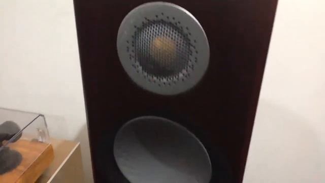 Rega Apollo 2017 & Brio 2017 With Monitor Audio Silver 50 - Ortons AudioVisual