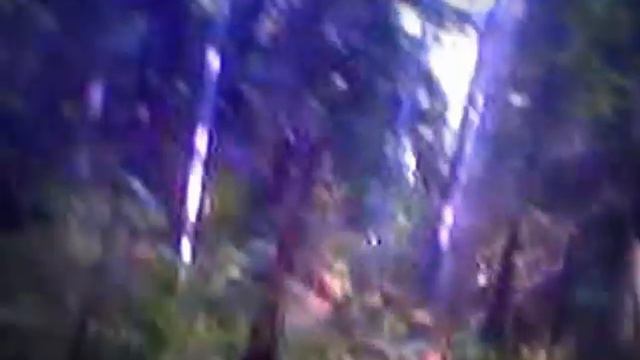 глубокий лес смотреть онлайн