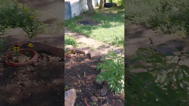 Memories of the past summer of 2023 for childhood friend Olga Popova смотреть онлайн