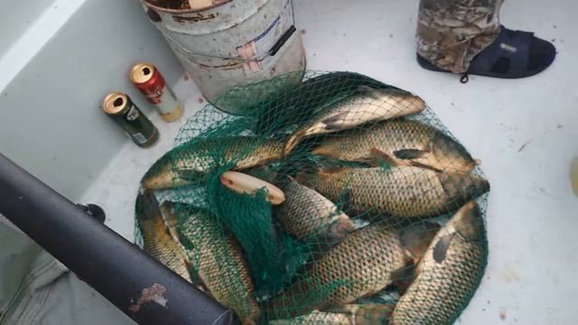 Рыбалка: Завидово 2019 смотреть онлайн