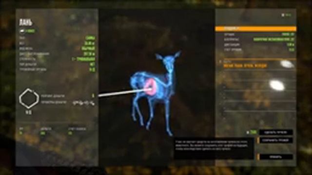theHunter Call of the Wild™ смотреть онлайн