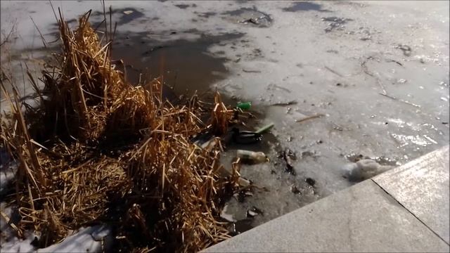 Стела в честь 400-летия основания города Орла. Набережная, река Орлик и река Ока. Город Орёл смотреть онлайн