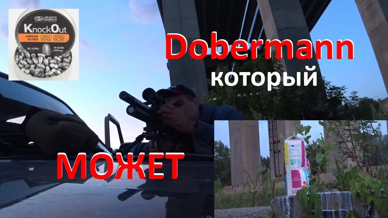Доберман отправляет в нокаут! JSB SLUGS 5,5