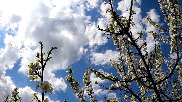 Где хранится великая женская сила: место, куда нельзя никого впускать смотреть онлайн