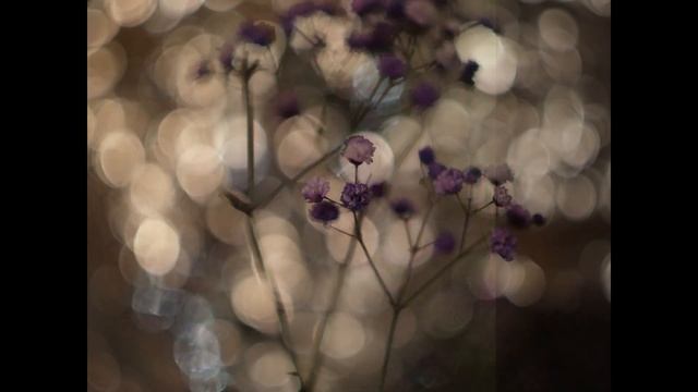 Olympus E1 смотреть онлайн