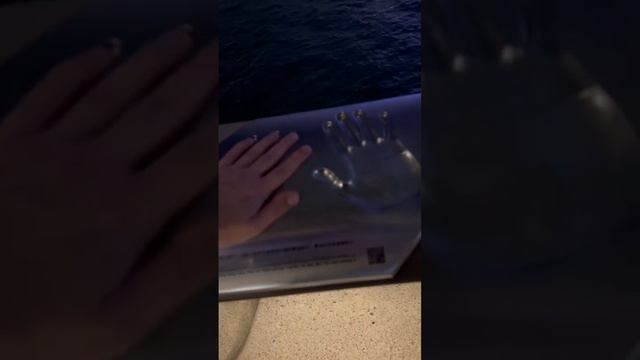 Аллея звезд в Гонконге. ЖИЗНЬ ЗУБАРЕВА #shorts смотреть онлайн