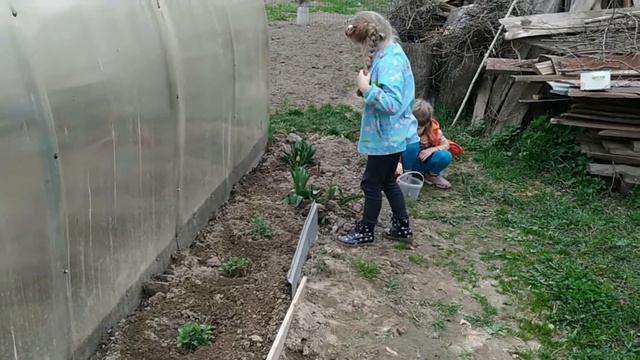 УХОД ЗА ЦВЕТАМИ смотреть онлайн