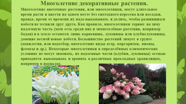 2 урок Декоративно цветочные культуры Весенние работы в цветоводстве смотреть онлайн