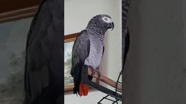 умиротворение после купания смотреть онлайн