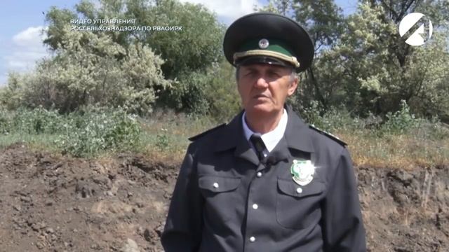 Россельхознадзор выявил нарушение земельного законодательства смотреть онлайн