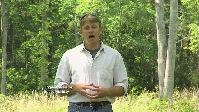 South Carolina's Spectacular Biodiverse Forest | Expeditions With Patrick McMillan Compilation