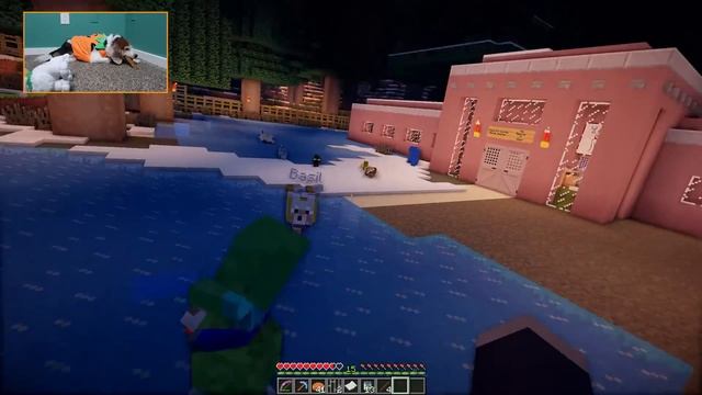 Wink and the Wizard | Dogcraft (Ep.336) смотреть онлайн