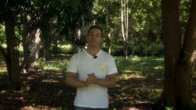 Desde la Ciudad Monumento Nacional de Cuba: Bayamo смотреть онлайн