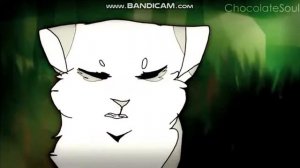 Коты-Воители/Сумрачный Лес/Клип-Jast Gold(на русском)