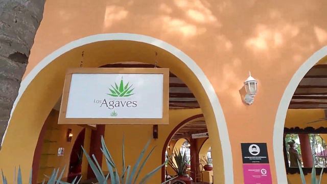 Grand Oasis Palm Cancun смотреть онлайн