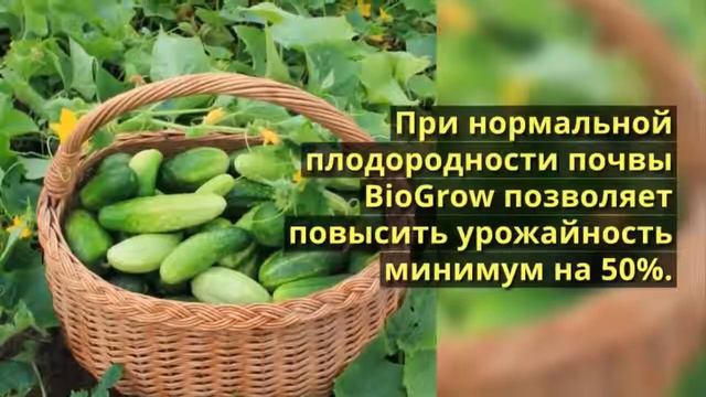 куриный помет в качестве удобрения смотреть онлайн