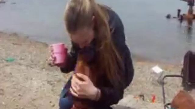 весеннее многоборье смотреть онлайн