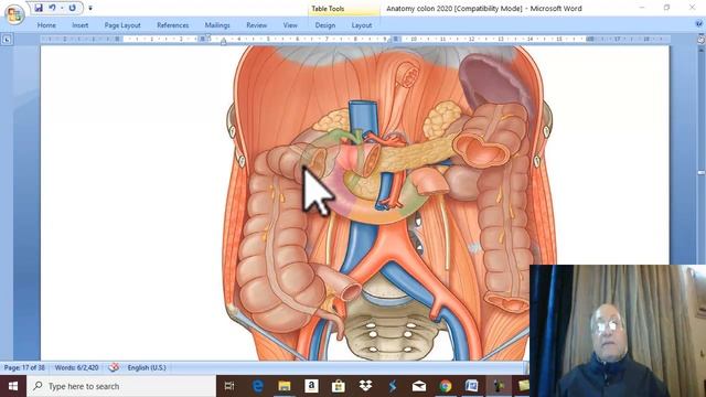Anatomy GIT Module ( Colic Flexures ) , by Dr. Wahhdan . смотреть онлайн