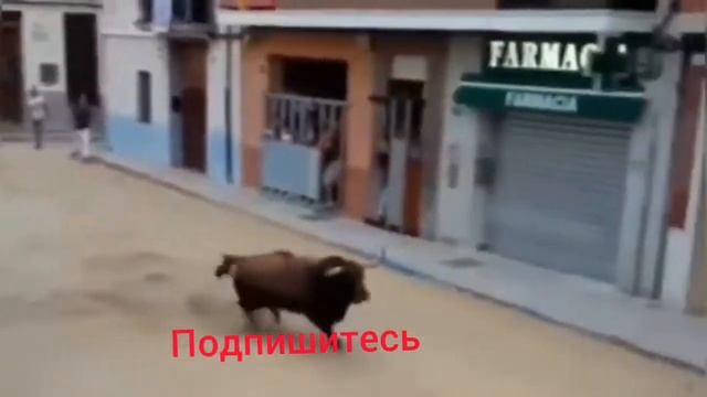 24 декабря 2021 г. Испания Коррида смотреть онлайн