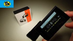 SONY NW-A306 YEAR REVIEW  PART 1 + Your Questions answered!