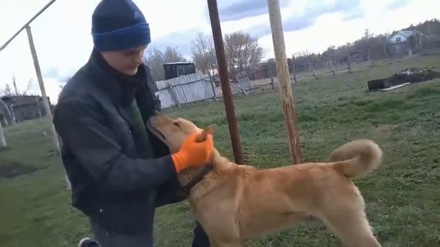 100 отжиманий за подход. Легко! | Программа тренировок | Как отжаться 100 раз смотреть онлайн