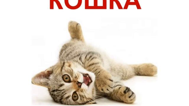 Мама-сурдопедагог. Кохлеарная имплантация. Слабослышащие дети. Учимся читать. КОШКА смотреть онлайн