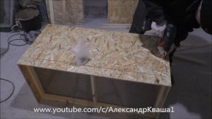 Брудер для цыплят своими руками