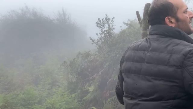 Cold Day in Mountain and Making a Shelter for Cows to Protect Them From Direct Rain смотреть онлайн