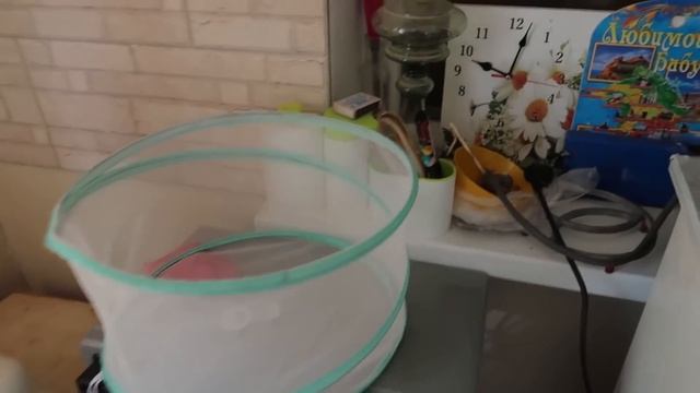 ВЛОГ: НА ДАЧУ/ ПОТОП В ВАННОЙ смотреть онлайн