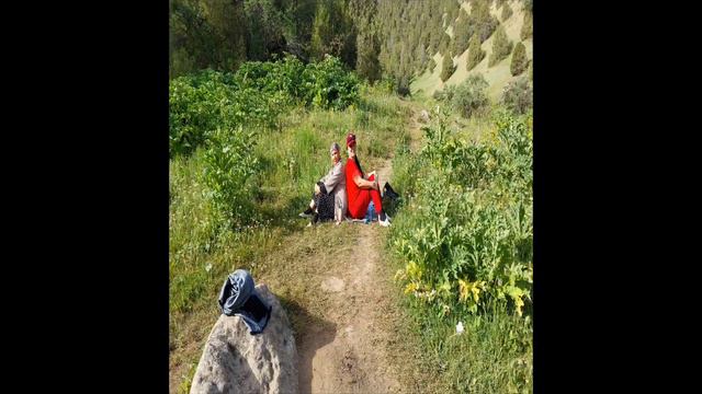 Vlog///Uzbekistan/Zamin/санатоия/отдых/поход🌲Zomin sanatoriysi🌳июнь-2023,часть2🥰 смотреть онлайн