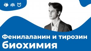 Метаболизм фенилаланина и тирозина. Патология обмена. Синтез адреналина | На Биохимическом