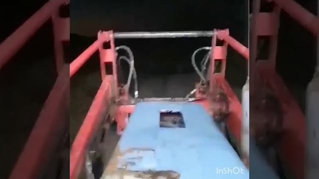 Медведи волки Тыва смотреть онлайн