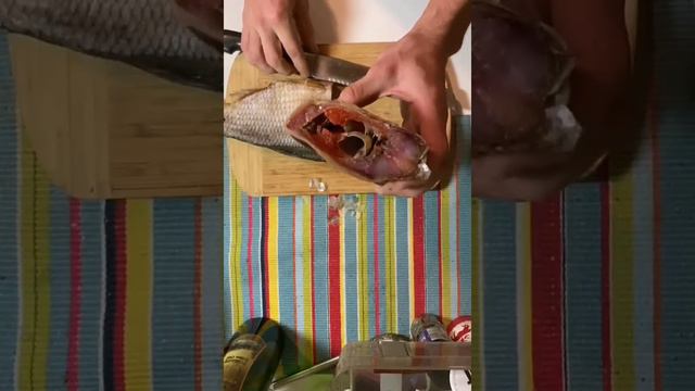 Северная рыба