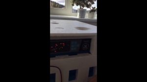 Первый запуск инкубатора для яиц "Птичий двор" модель S-64 (Начало, часть 1)