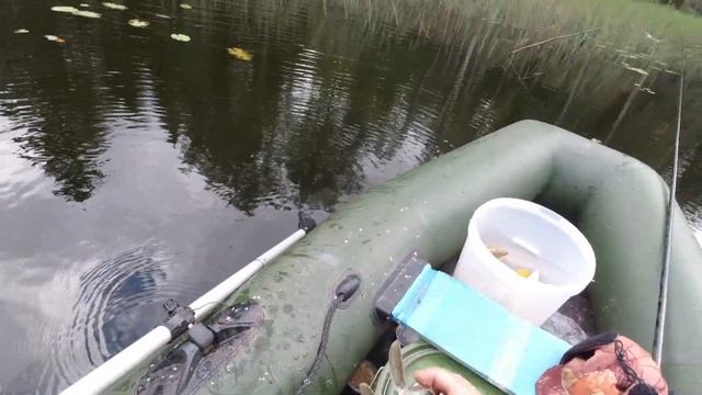 Рыбалка на летние жерлицы. Ловля щуки в болотах