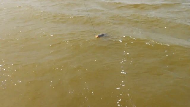 ПРОСЯНКА 3 1 смотреть онлайн