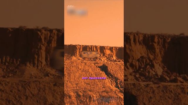 👵 Нашли бабку посреди Марса | #кибердеревня смотреть онлайн