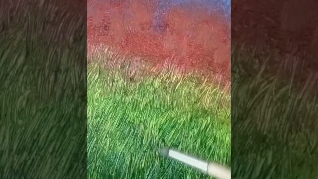 Вечерний луг смотреть онлайн