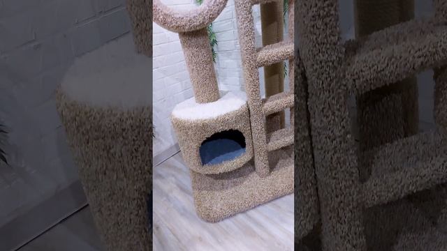 Видео обзор комплекса для кошек от Кошкин дом г.Иркутск смотреть онлайн