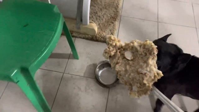 Оленина со смаком ?? смотреть онлайн