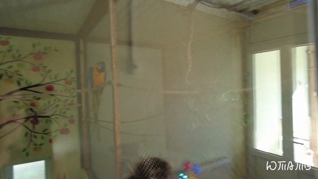 ЗООПАРК. Экзотик Парк. Часть 2. В мире животных !!! смотреть онлайн