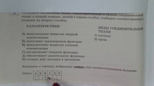 ЕГЭ. БИОЛОГИЯ. 13 задание, разбор смотреть онлайн